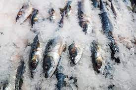 Sulawesi Utara Ekspor 18 Ton Ikan Tuna Beku ke AS