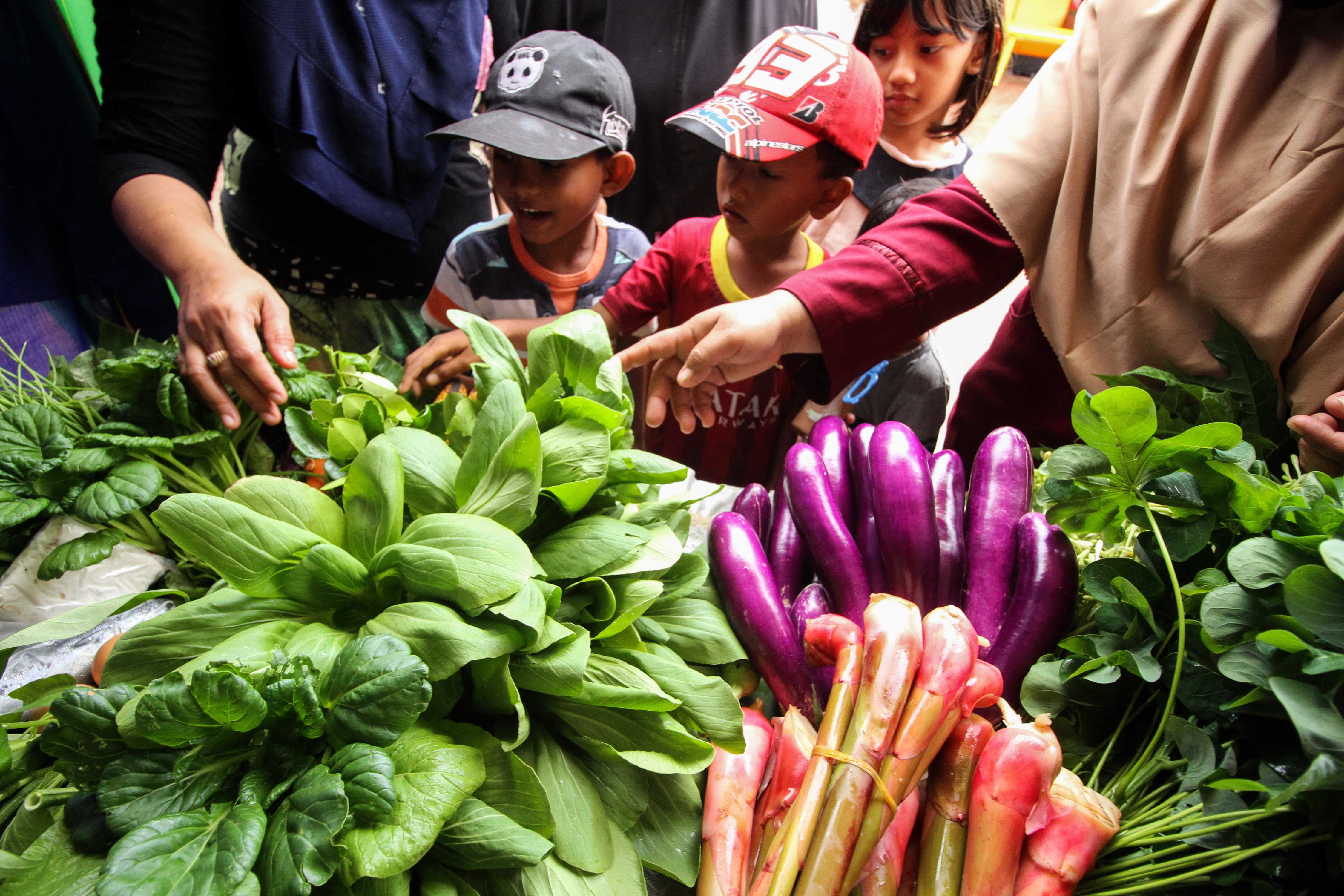 Literasi Gizi di Indonesia Masih Rendah