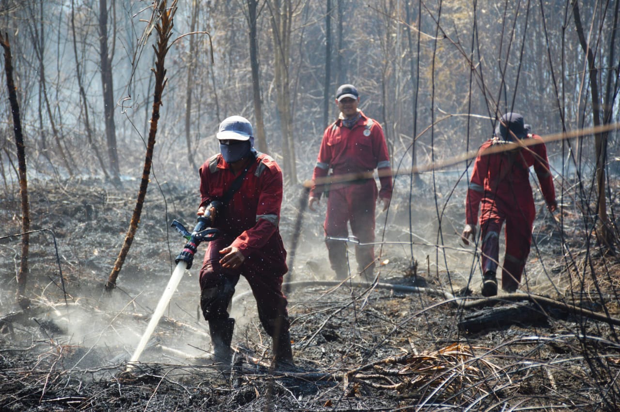 Kebakaran kawasan hutan rawa gambut suaka margasatwa (SM) Giam Siak Kecil (GSK), bengkalis, Riau