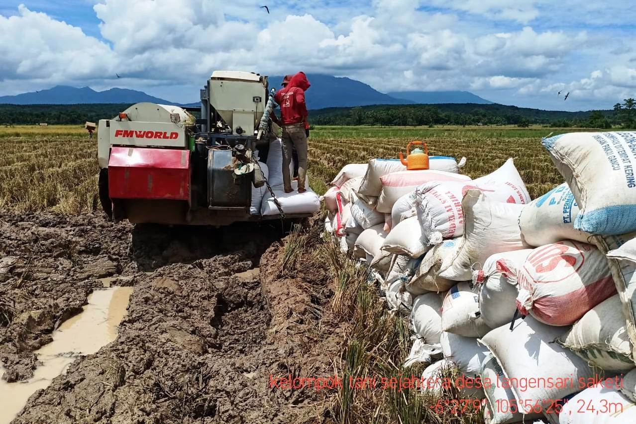 Sambut Panen Raya, Kementan Siapkan 245 Pemantau Harga Online