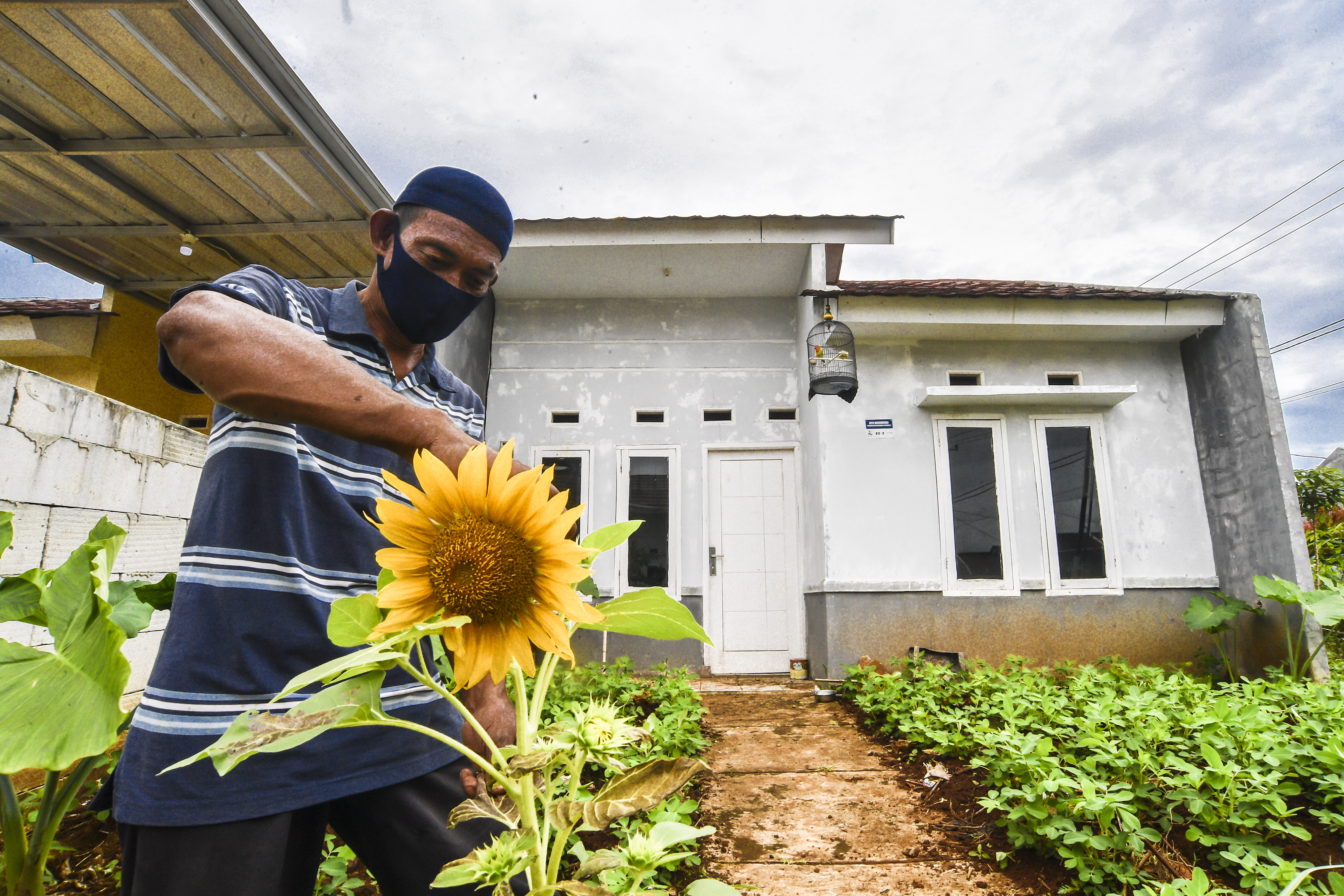Hore, Beli Rumah Baru Bebas dari PPN