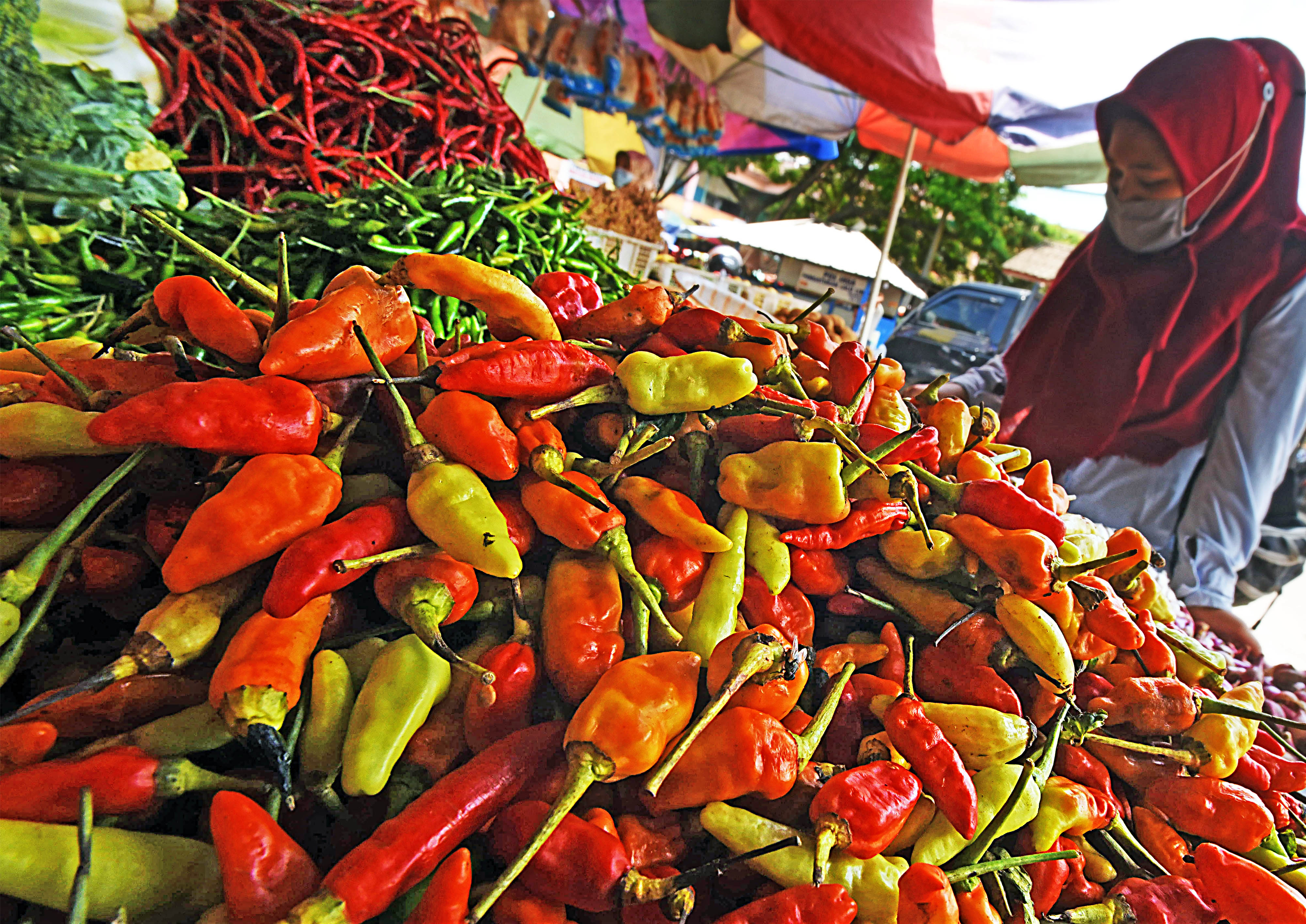 Seorang pembeli memilih cabai rawit merah