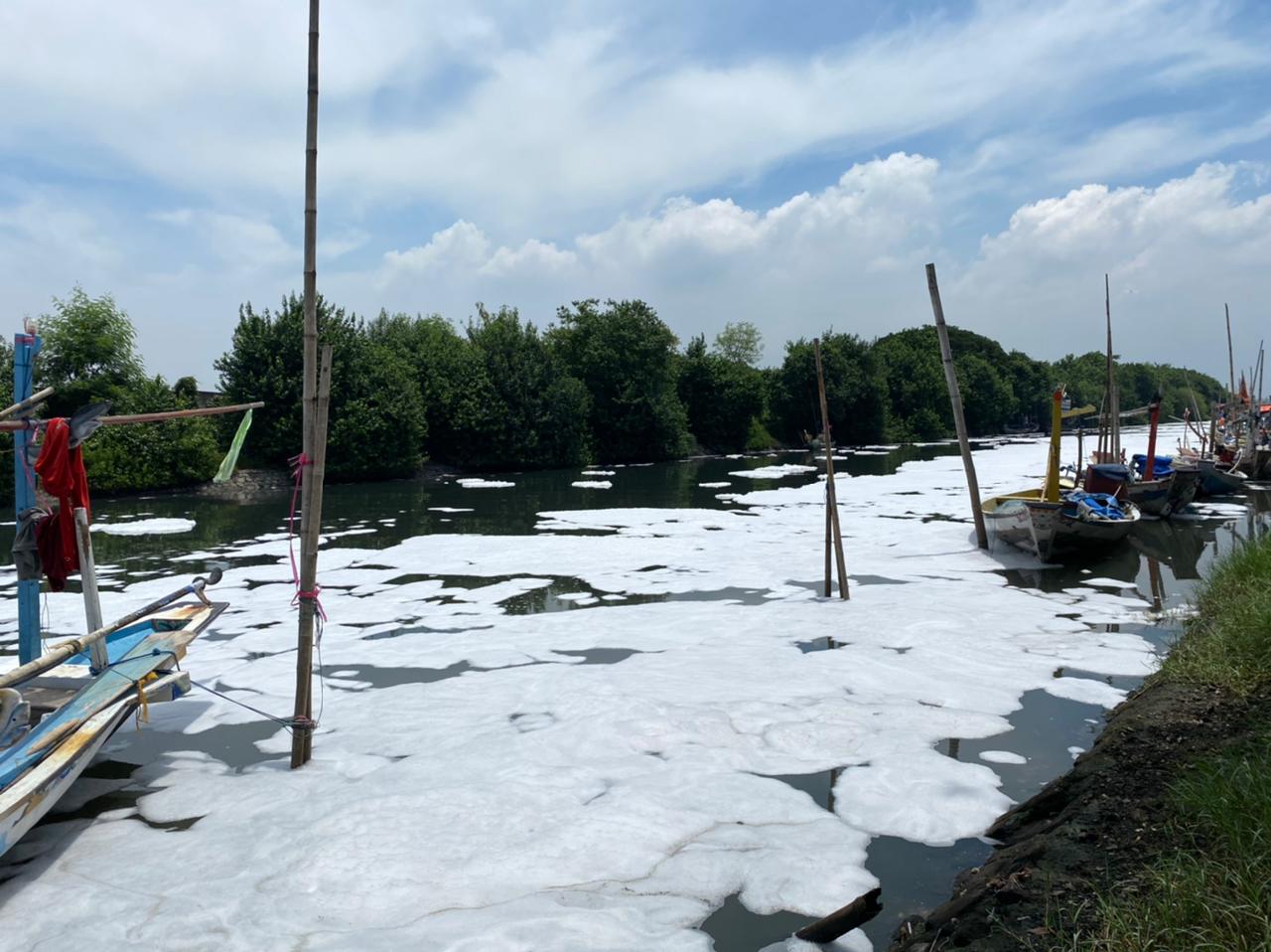 Kondisi Sungai Tambak Wedi yang dipenuhi limbah busa.