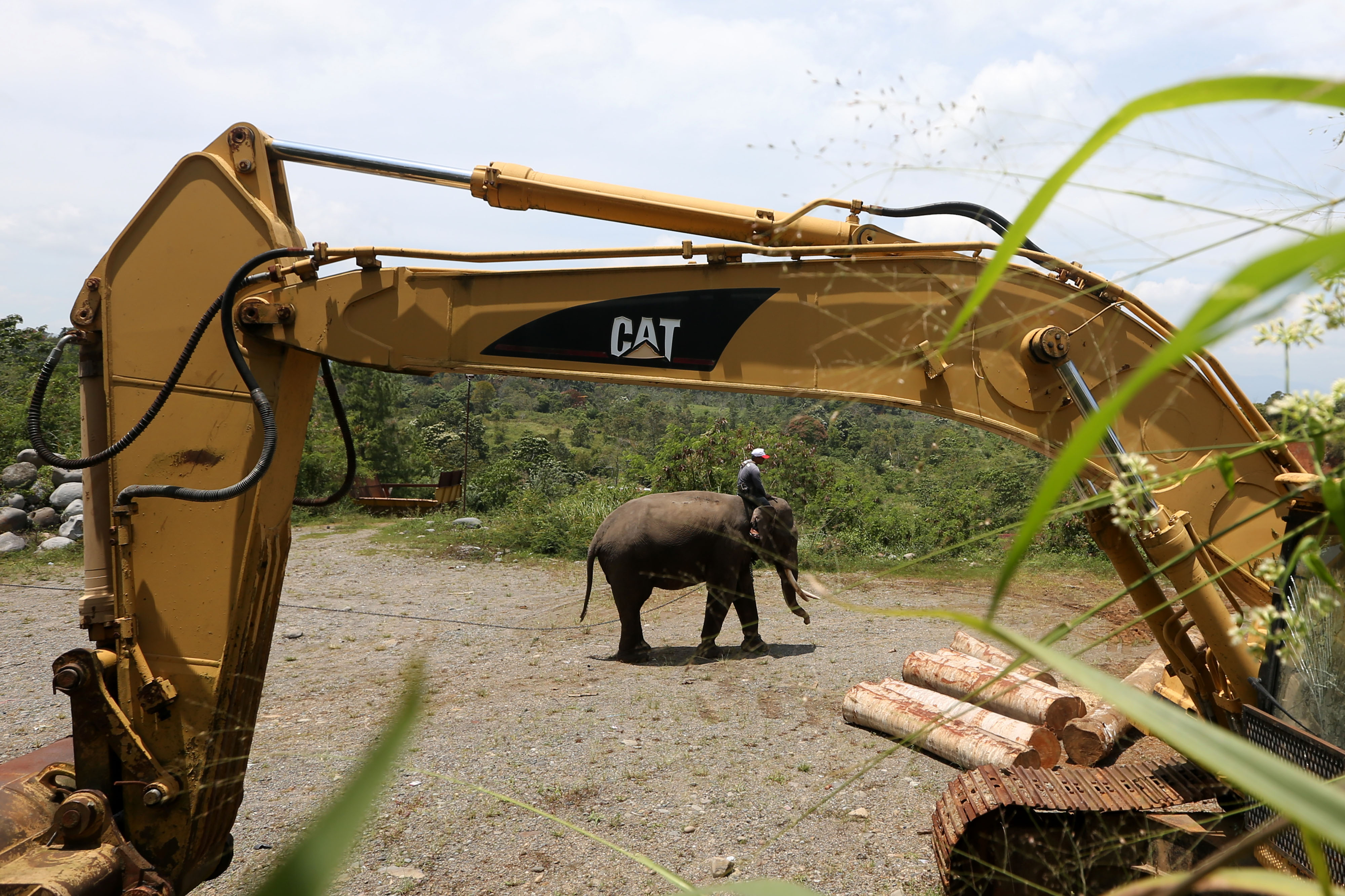 Tim penanganan konflik gajah dari BKSDA Aceh melaksanakan patroli dengan menggunakan gajah jinak, di Bener Meriah, Aceh, Senin (15/3/2021).