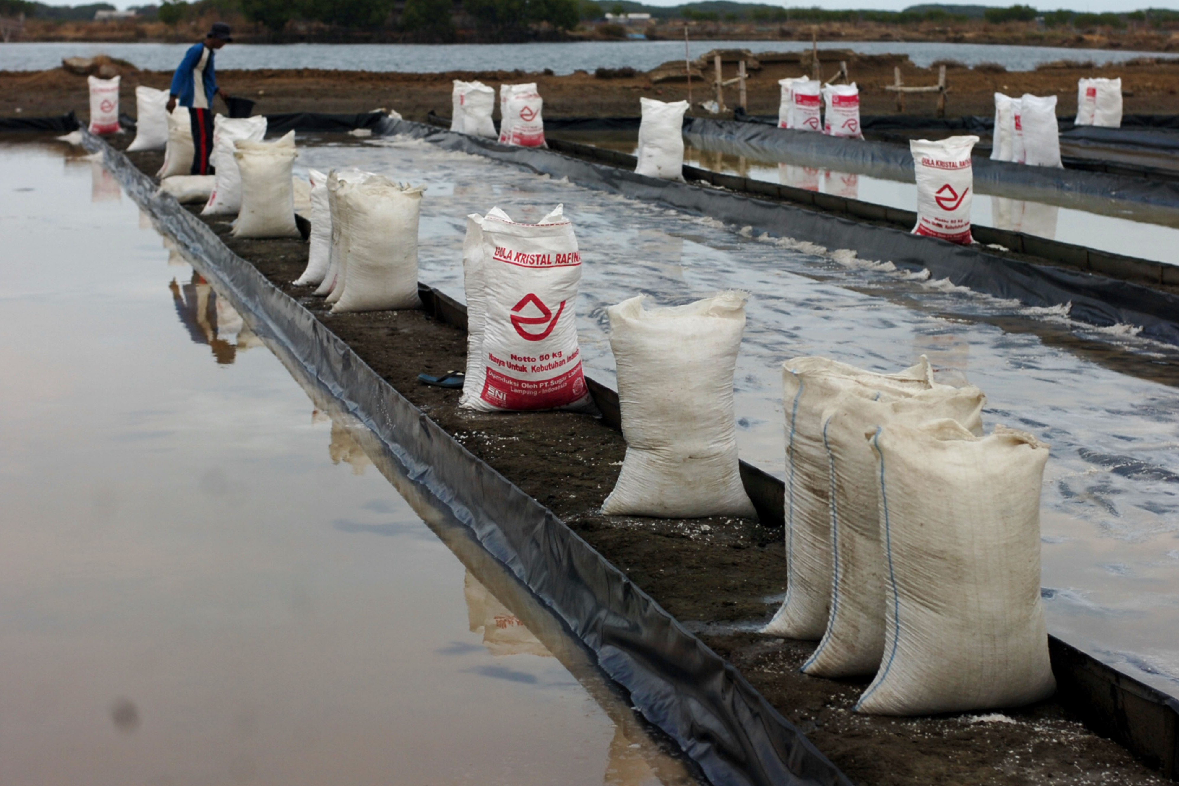 Seorang pekerja memanen garam di tambak garam Desa Kaliwlingi, Brebes, Jawa Tengah, beberapa waktu lalu.