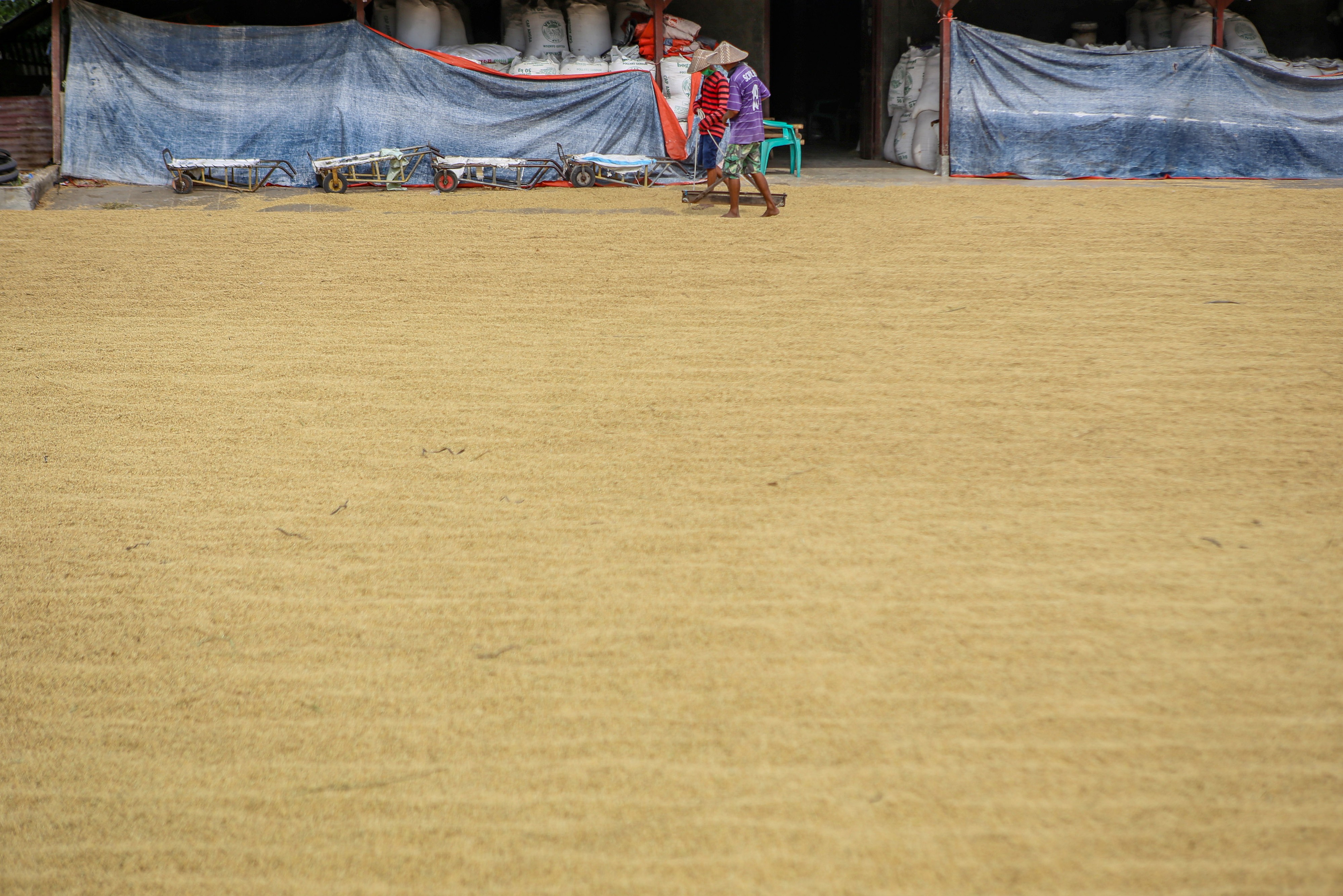 Holding BUMN Pangan belum Tentu Tuntaskan Masalah Impor