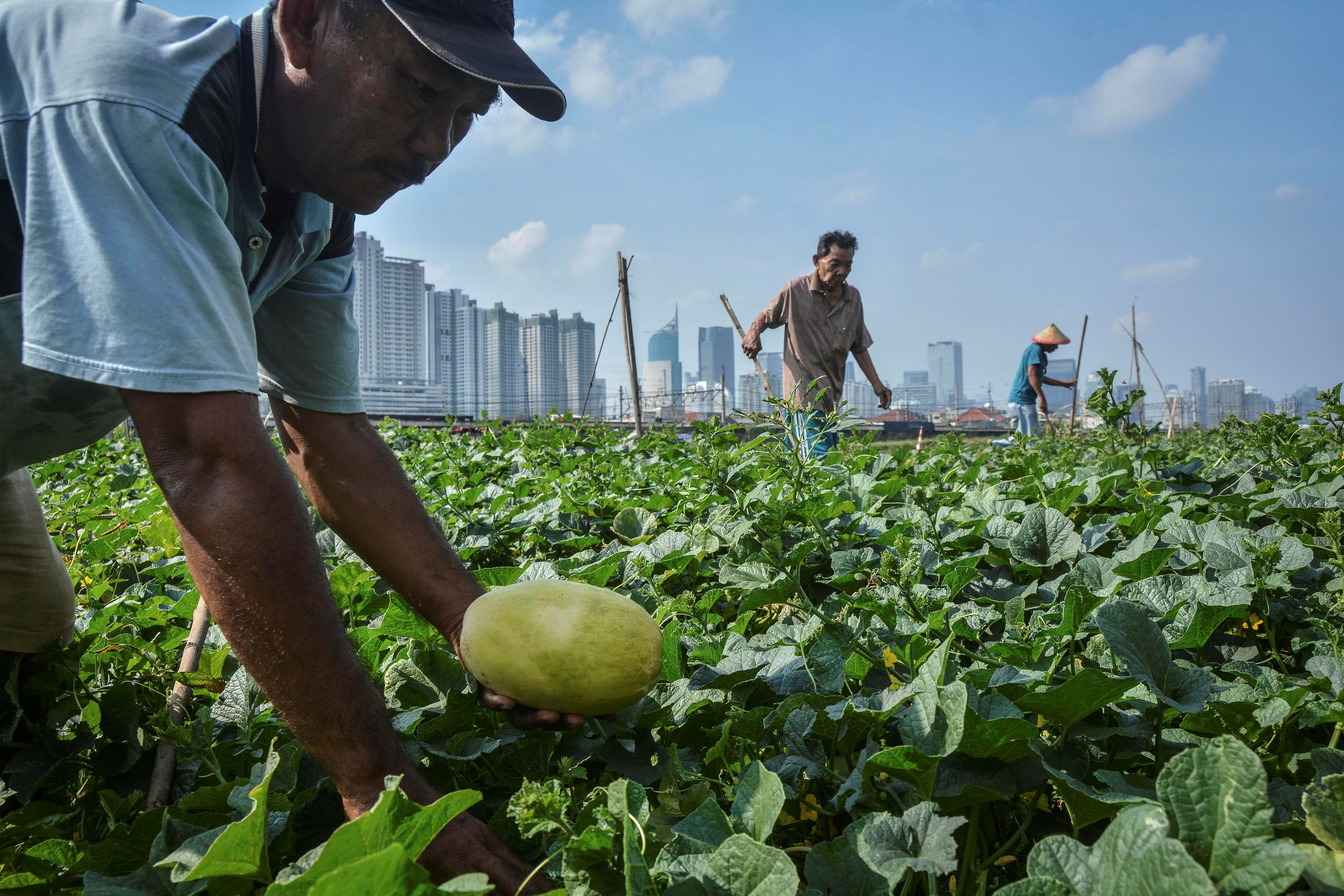 Keberatan Investasi Miras, Muhammadiyah Tekankan Sumber Daya Alam 