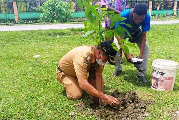 Kepala Distrik (Kadistrik) Nimboran Marsuki Ambo, S.ST, saat melakukan penanaman pohon secara simbolis.