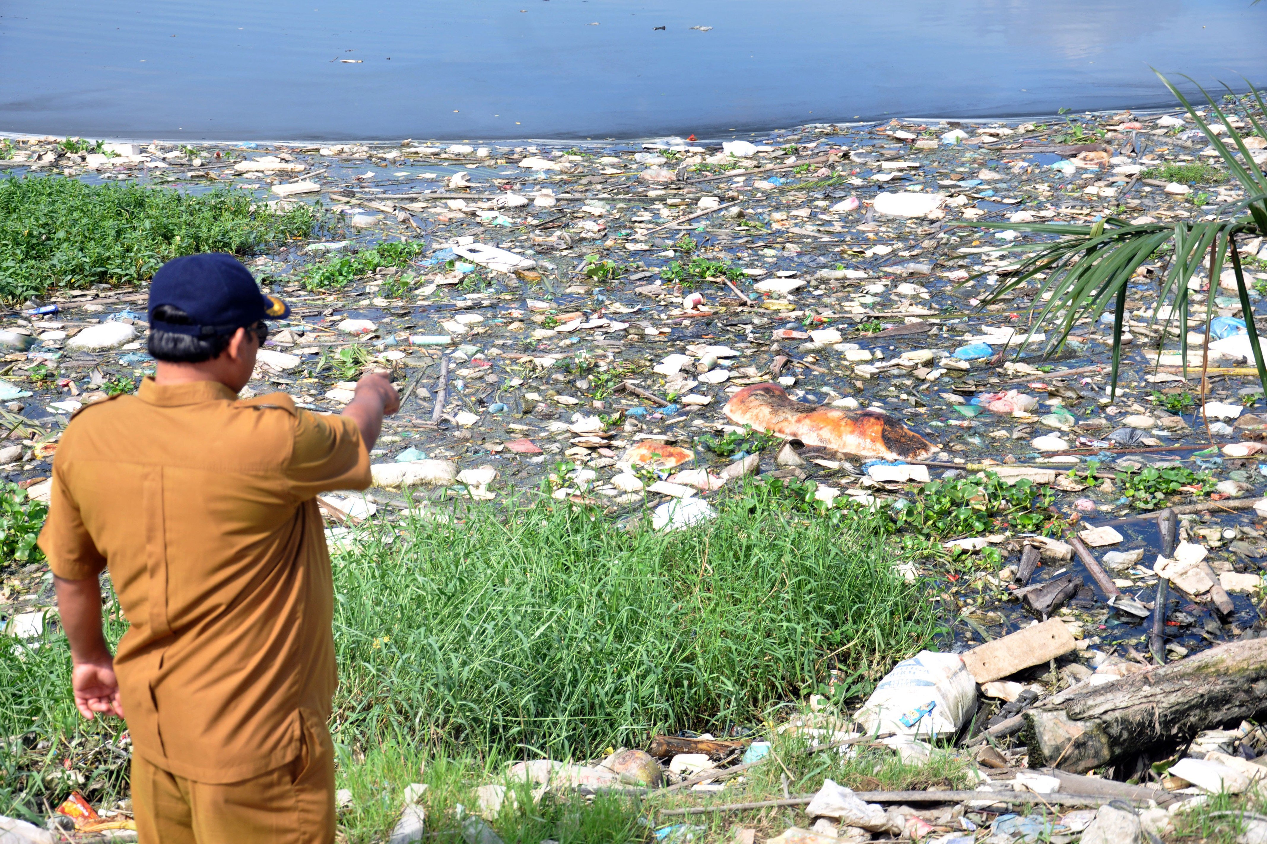 Petugas Dinas Ketahanan Pangan dan Peternakan Sumut mengamati bangkai babi di Danau Siombak Marelan, Medan, beberapa waktu lalu.