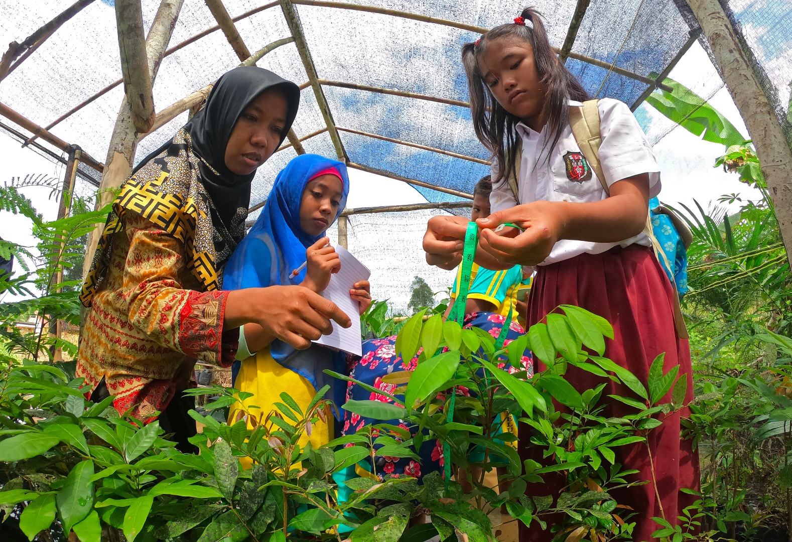Pelajar kelas VI SDN 236 Kabupaten Tebo, Jambi didampingi guru  melakukan pengamatan tanaman saat mengikuti kelas lingkungan hidup.
