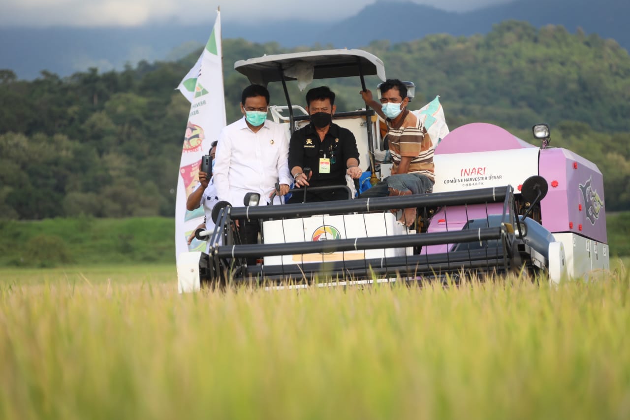 Mentan Syahrul Yasin Limpo melakukan panen raya padi dengan mengunakan kendaraan combine harvester.  
