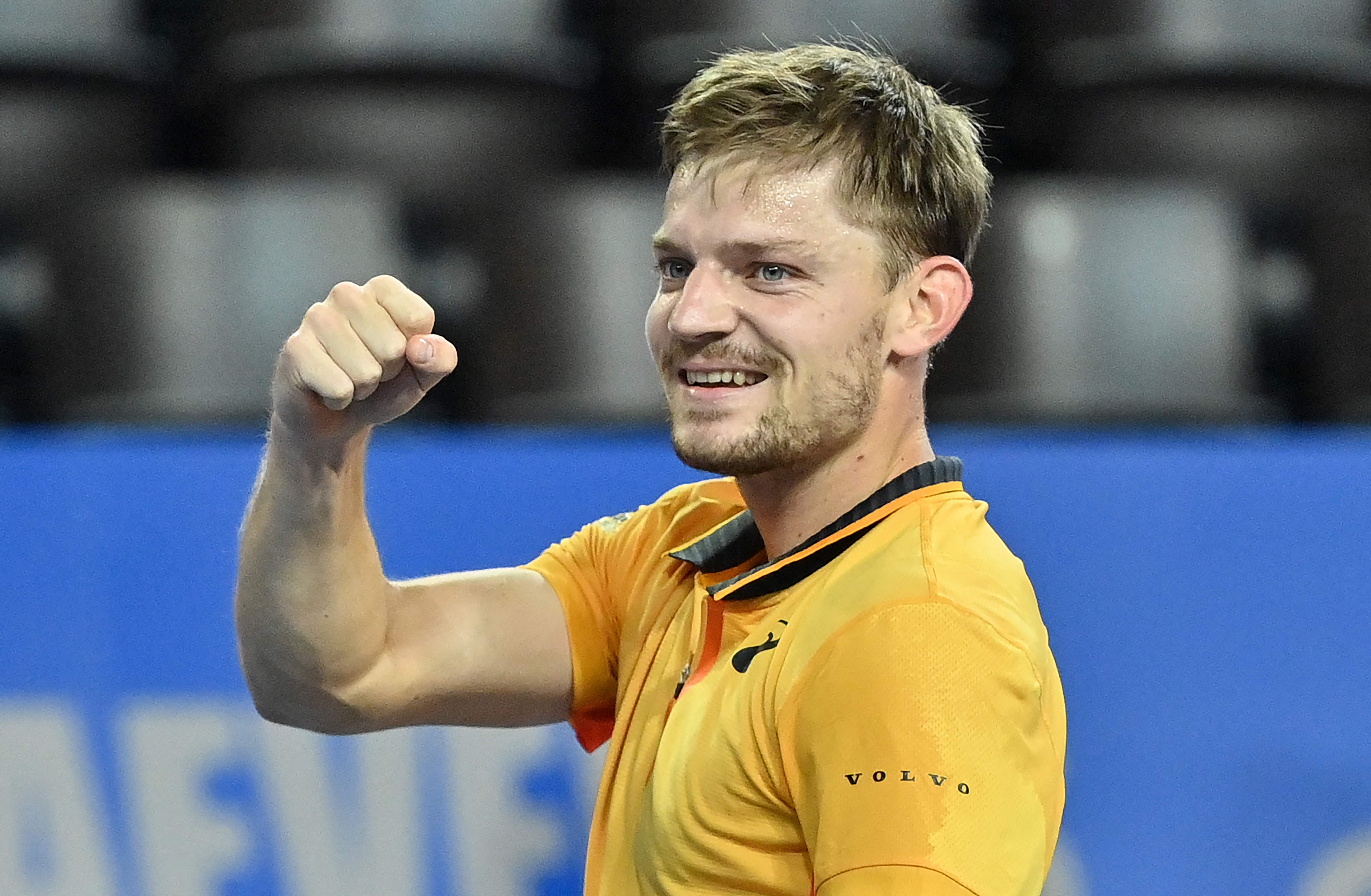Petenis asal Belgia, David Goffin