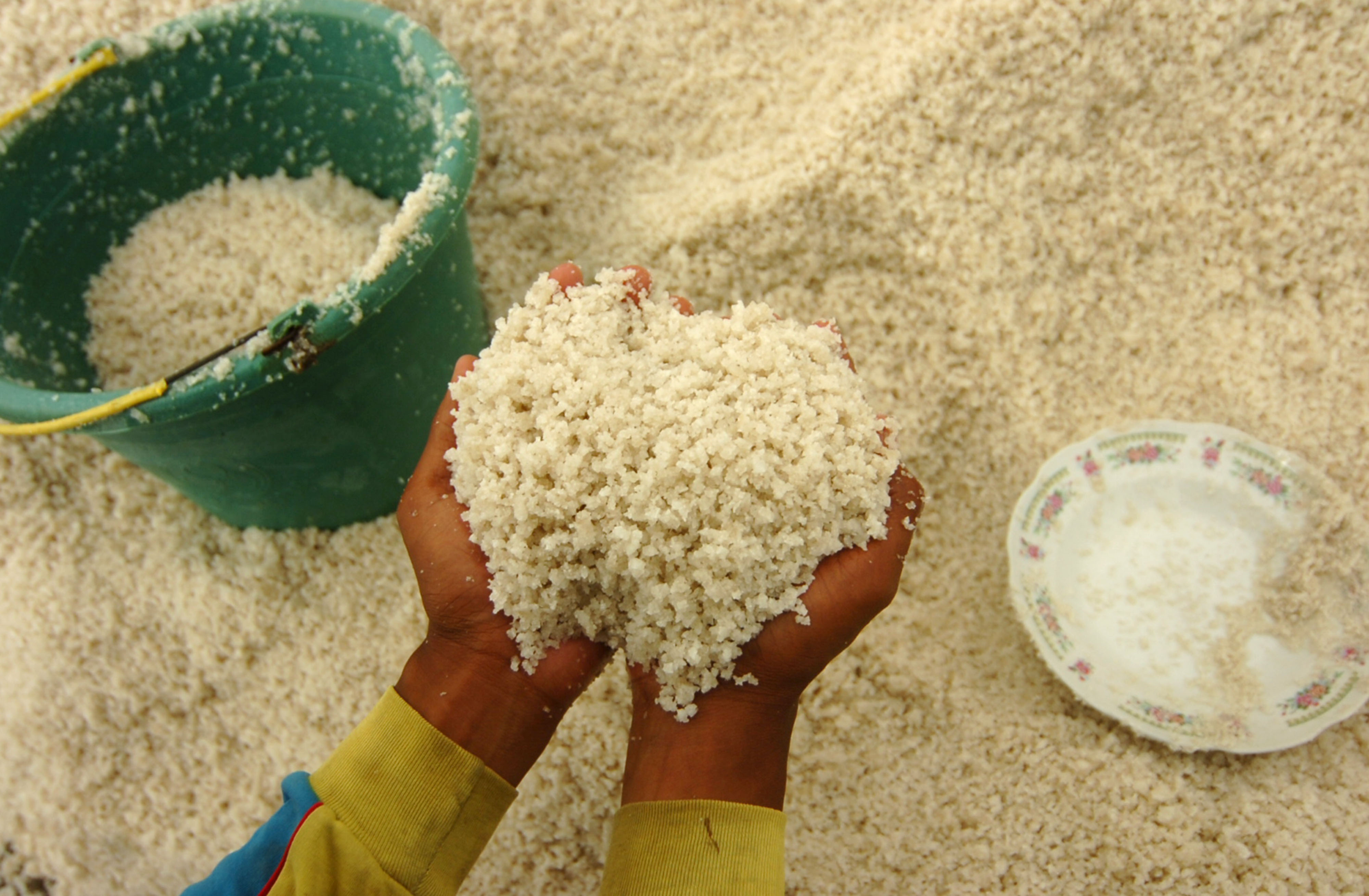 Petani di Brebes jawa Tengah memanen garam