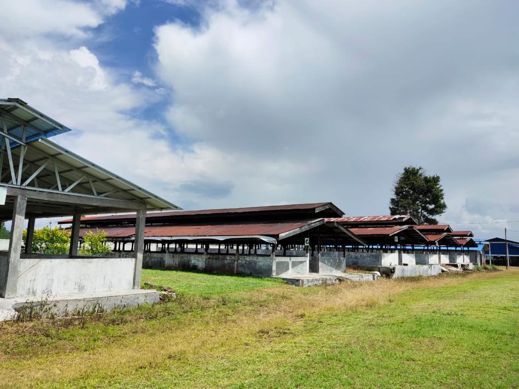 Unit perbibitan babi milik pemerintah yang terletak di Siborong-borong, Sumatera Utara 