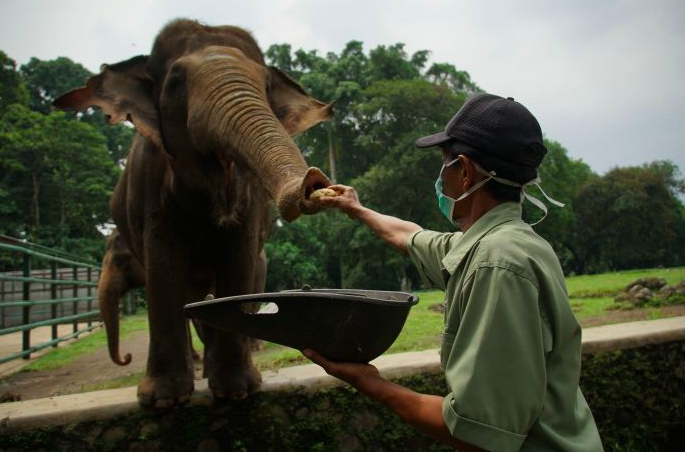 Taman Margasatwa Ragunan Buka, Monas Tetap Tutup
