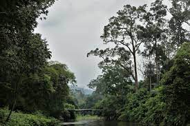 Pariwisata Rantau Langsat