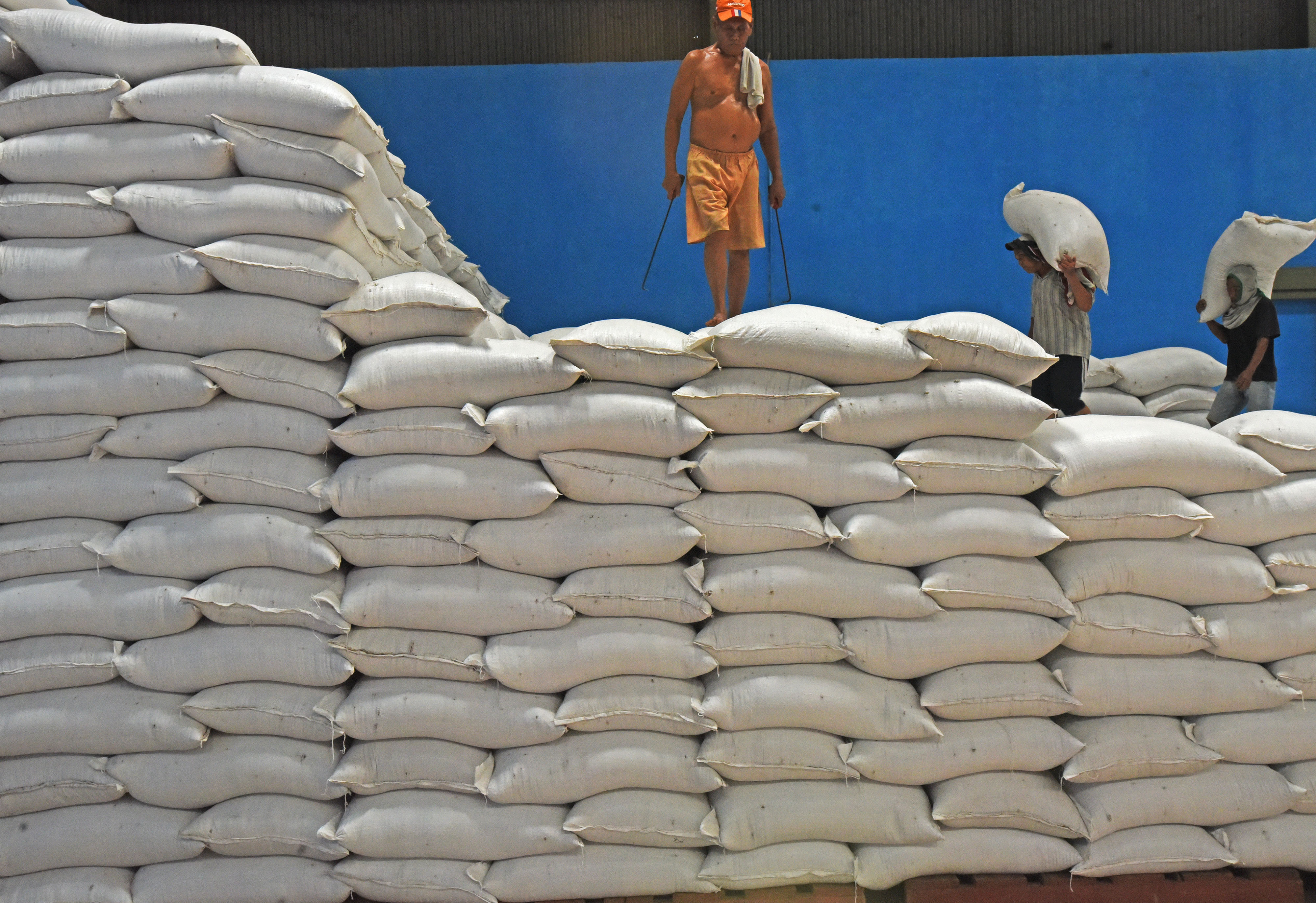 Stok Cukup, Rektor IPB Tegaskan Tolak Impor Beras