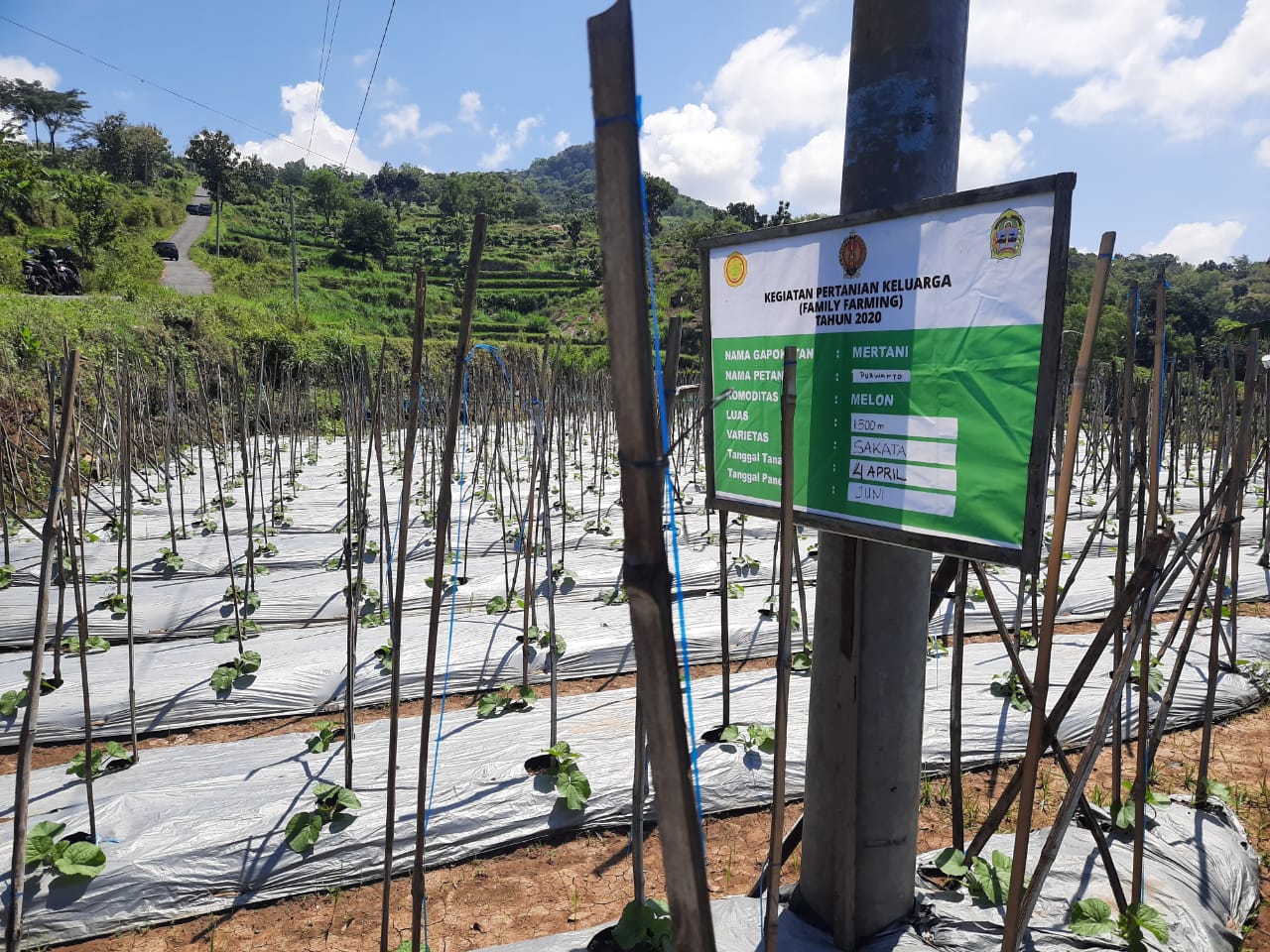Pelaksanaan program Pertanian Keluarga (PK) di wilayah Daerah Istimewa Yogyakarta.