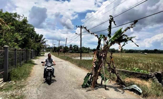 Pengguna jalan melintasi ruas jalan yang ditanami pohon pisang di Desa Nigan, Kecamatan Seunagan, Kabupaten Nagan Raya, Aceh, Rabu (14/4).