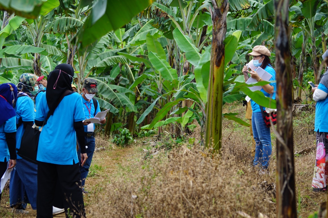  Sosialisasi peningkatan kompetensi kapada para petugas TOT (Training Of Trainer) Registrasi Kebun dan Lahan Usaha Hortikultura. 