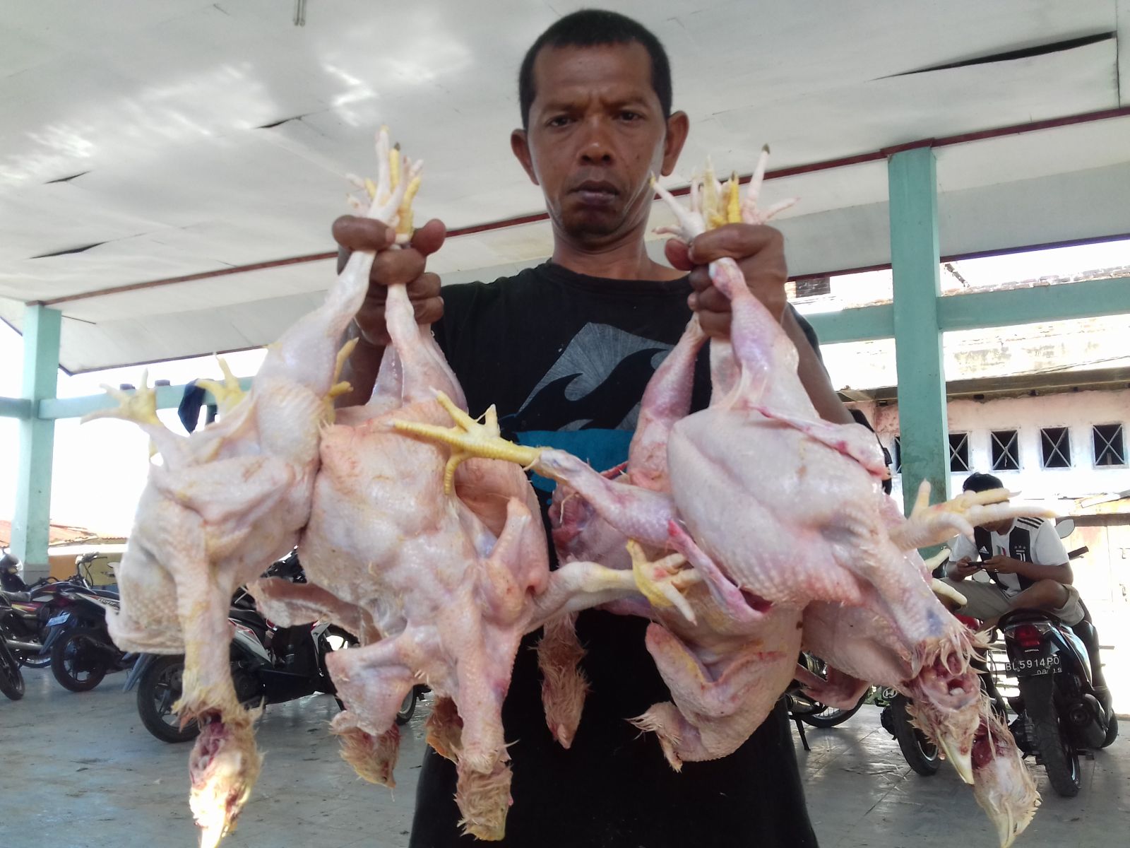 Harga daging ayam di Aceh turun karena permintaan pasar juga menurun