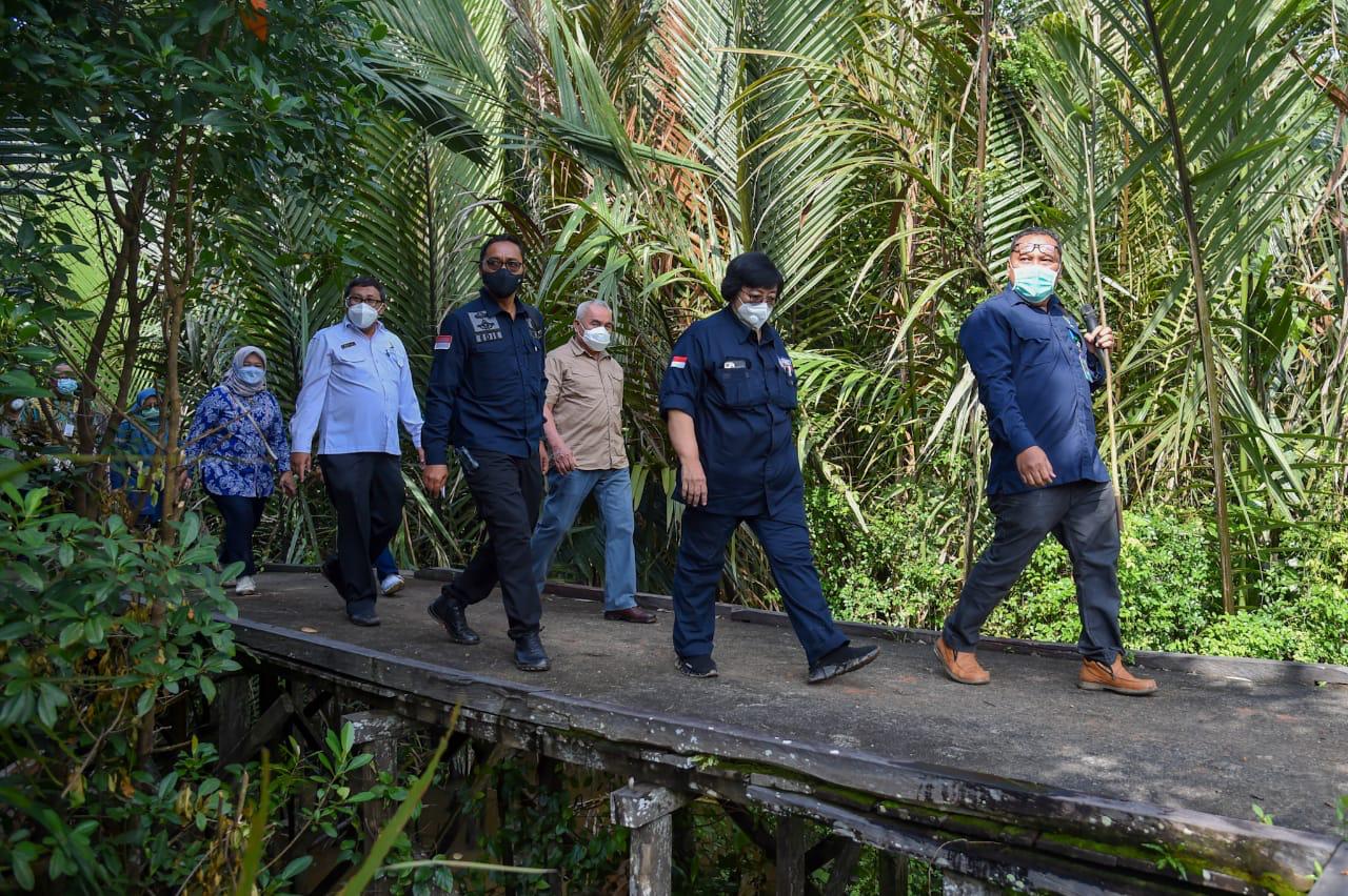 Siti Nurbaya mengunjungi Pusat Informasi Mangrove (PIM) Delta Mahakam di Desa Saliki, Kecamatan Muara Badak, Kutai Kartanegara, Kaltim.