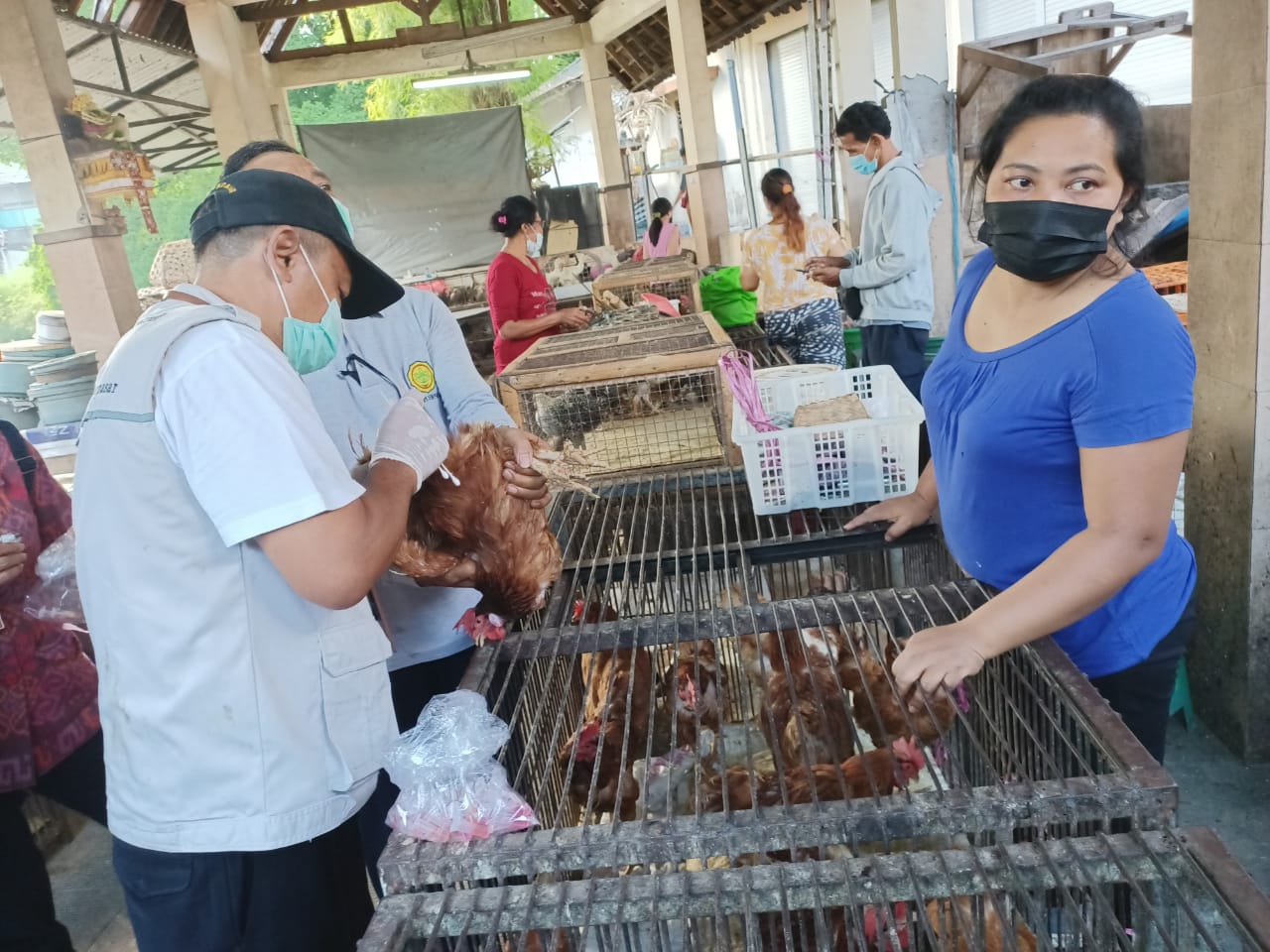 Petugas dari Dinas Peternakan Kota Denpasar mengambil sampel unggas di Pasar Kumbasari Denpasar, Selasa (27/4/2021)
