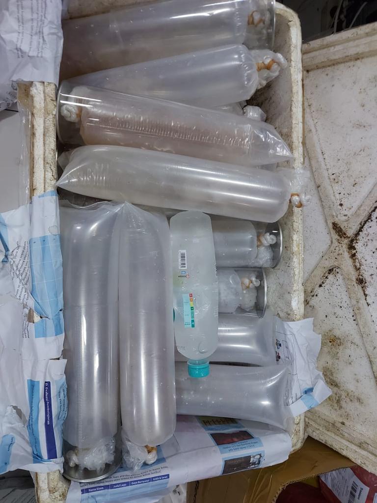 KKP Gagalkan Pengiriman 29.250 Benur Berkedok Paket Makanan di Bandara Juanda, Jawa Timur, Selasa (9/3).