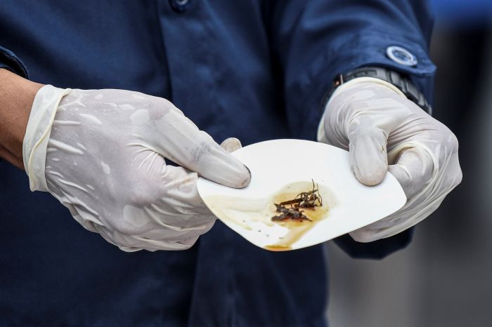 Pondok Pesantren di Jawa Timur Terpapar Narkoba