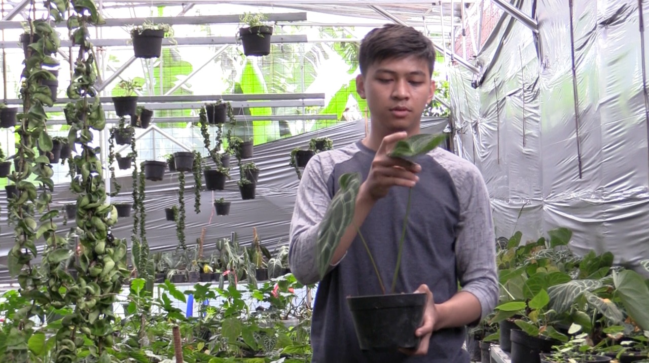 Jadi Eksportir Bunga, Lulusan SMK Raup Omzet Ratusan Juta Rupiah  