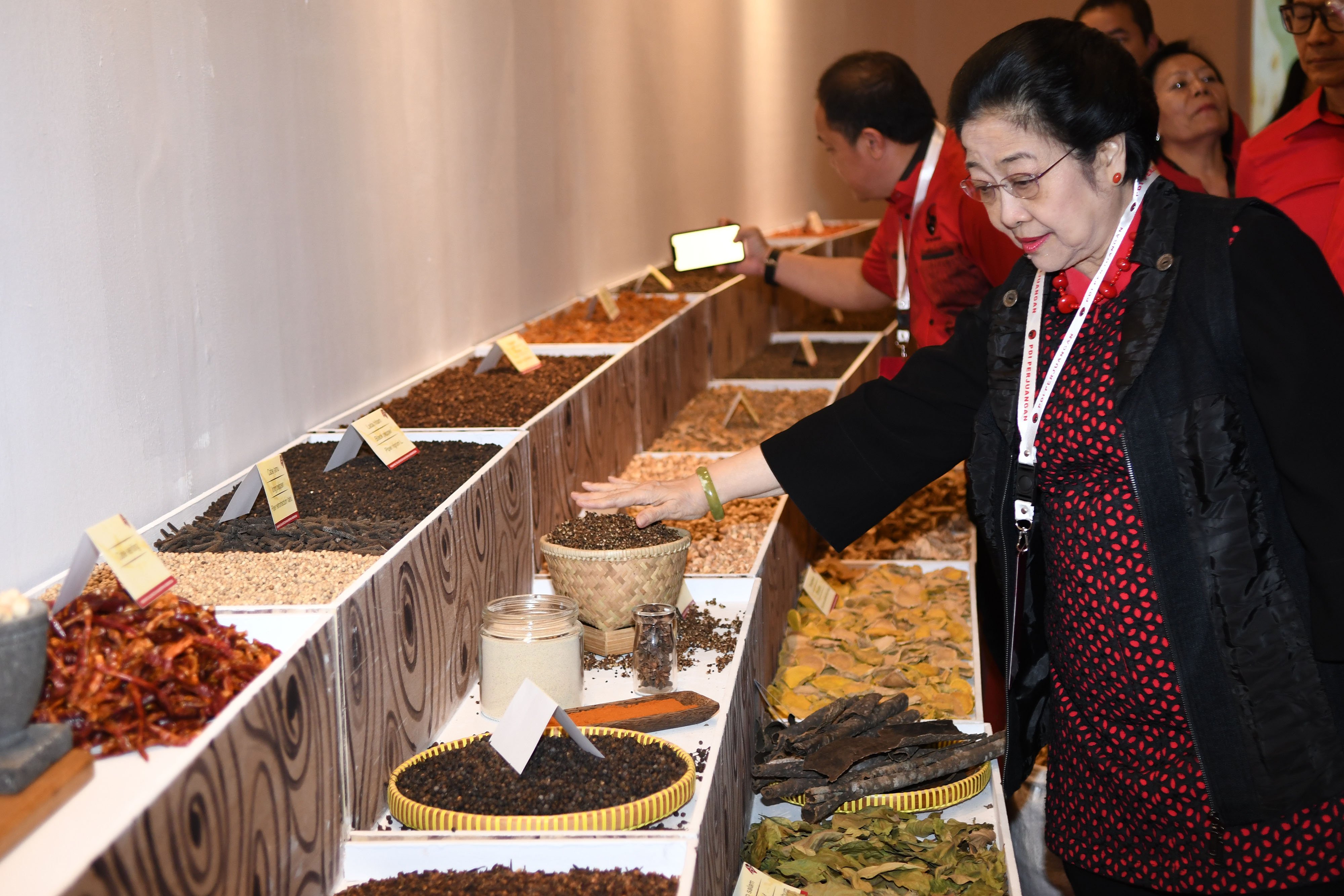 Ketua Umum PDIP Megawati Soekarnoputri saat meninjau pameran industri dan inovasi.