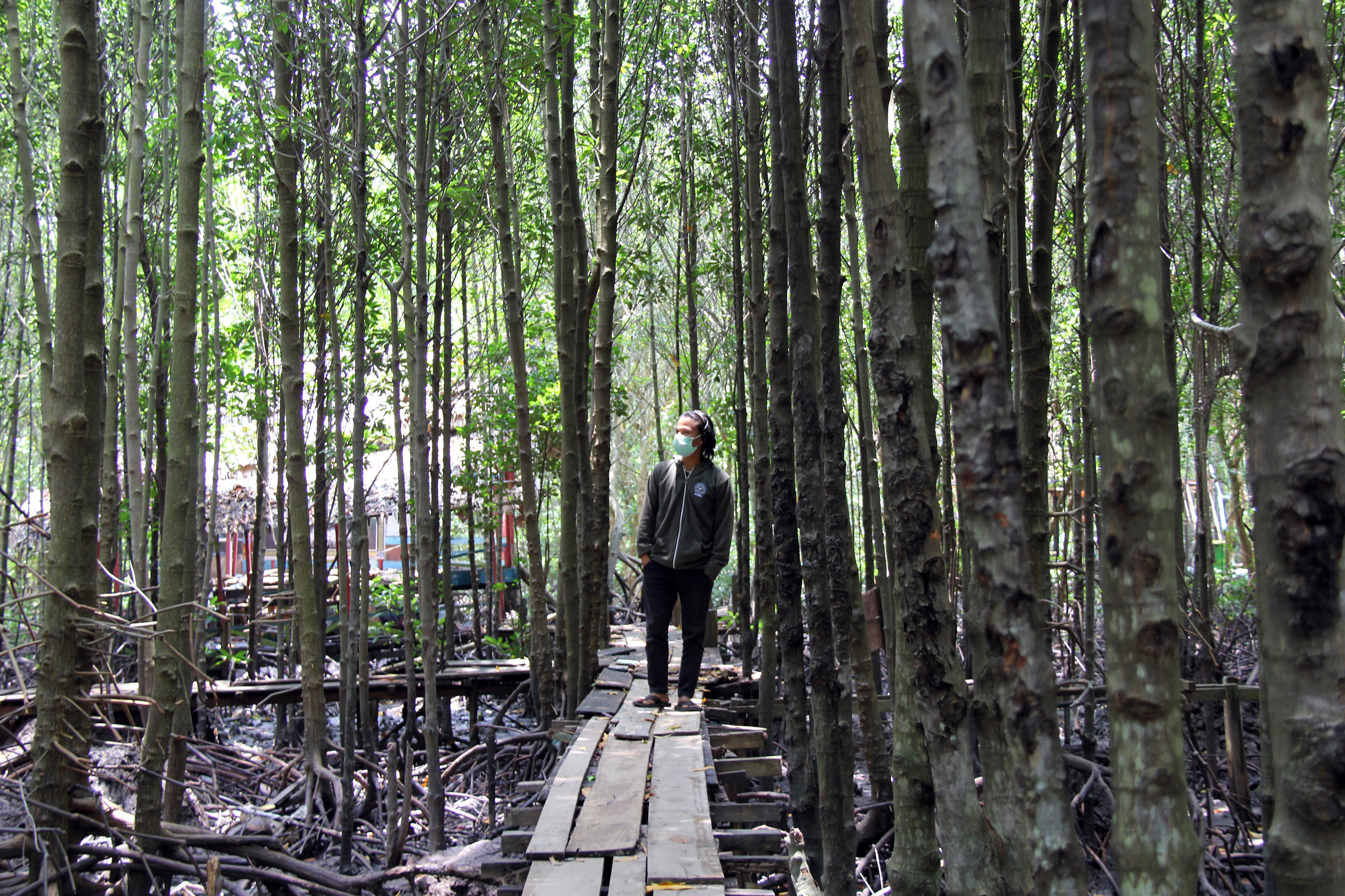 EKOWISATA PESISIR: Pemkot Dumai merevitalisasi kawasan hutan mangrove untuk dijadikan kawasan ekowisata pesisir.