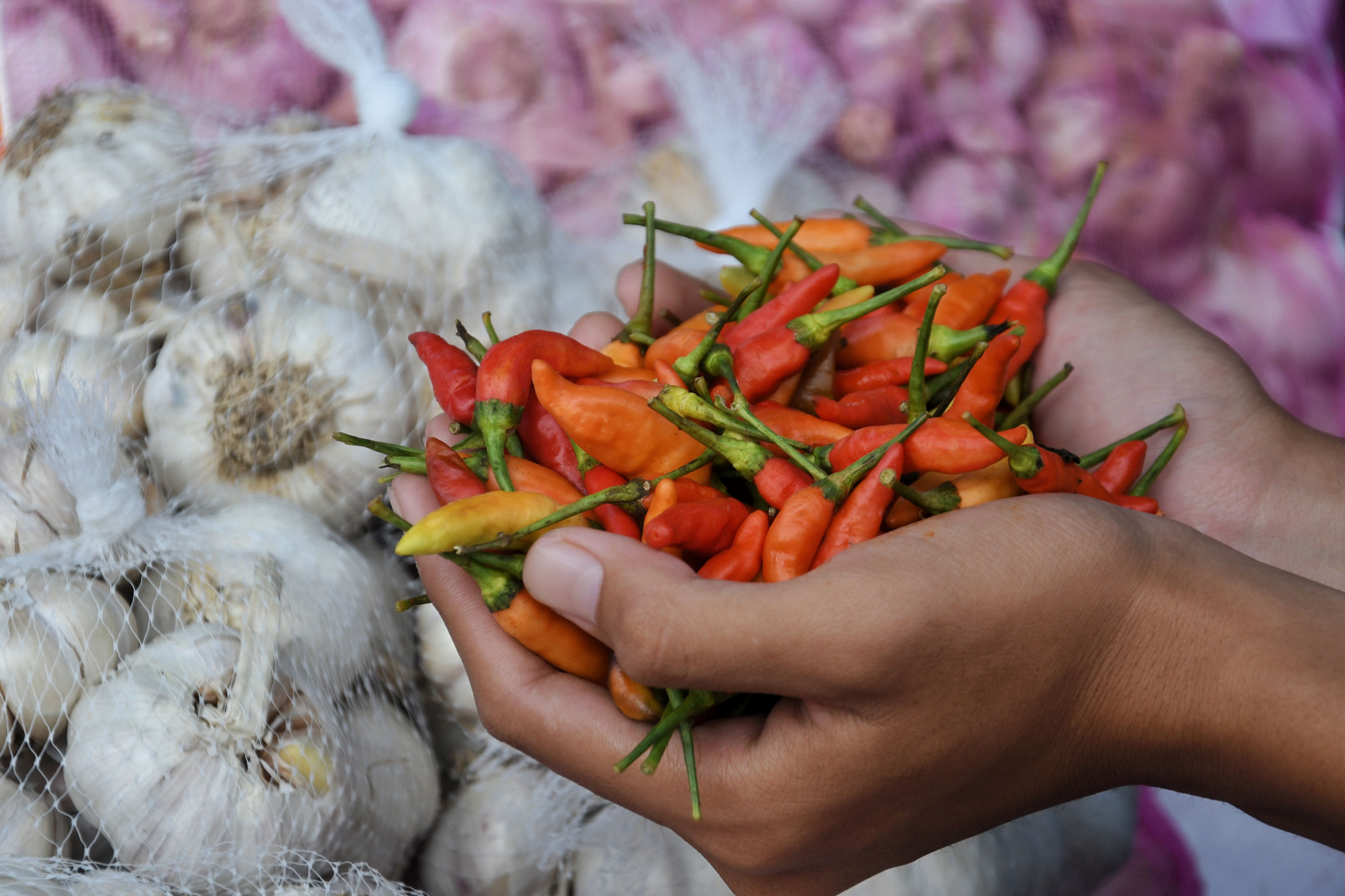Gelar bazaar cabai dan bawang putih murah
