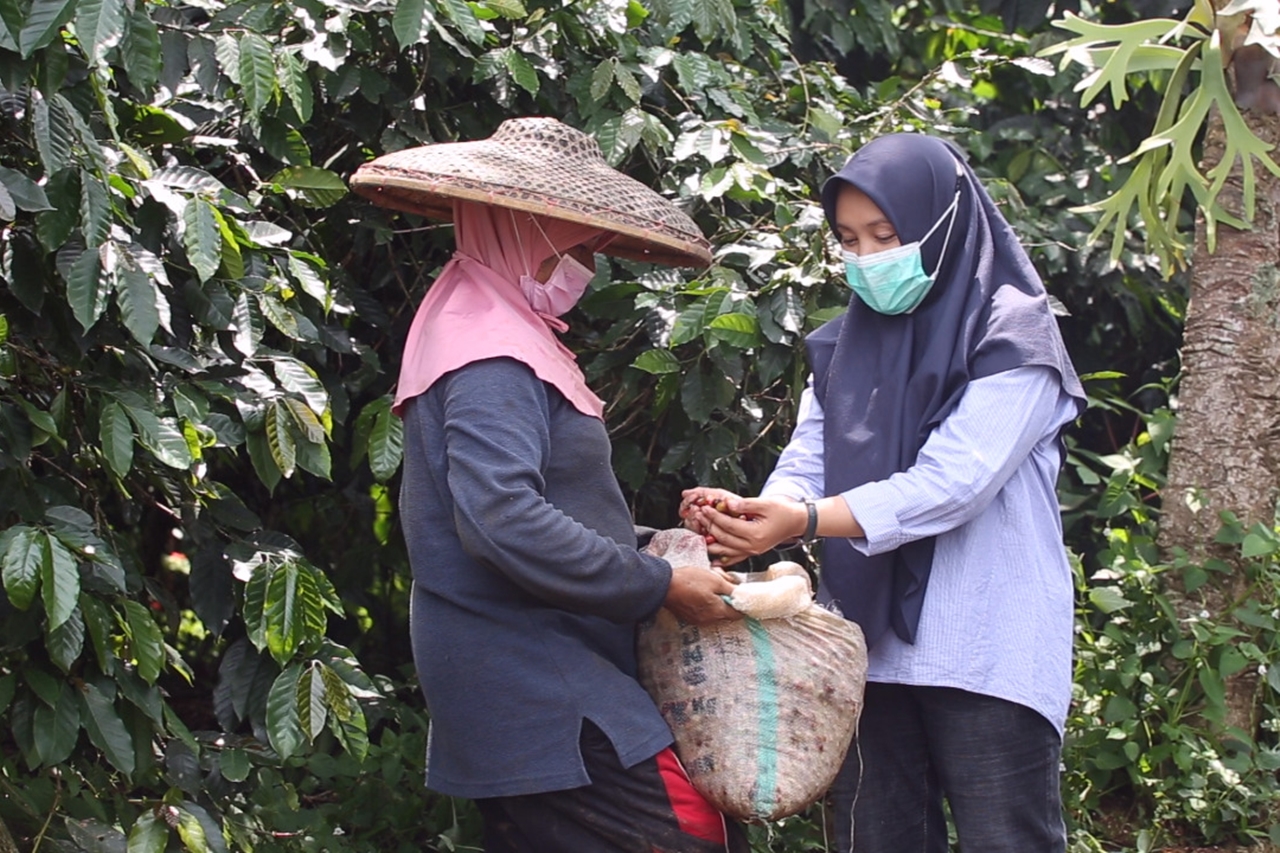 Nurmadanis, penyuluh sosial di Kampung Sinagar, Jawa Barat, yang mendampingi para petani kopi untuk bergerak bebas dari jerat tengkulak.