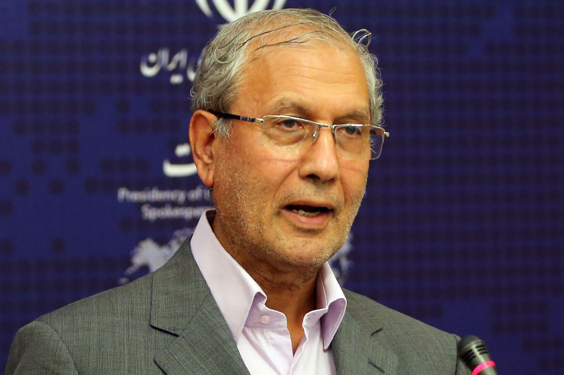 Juru bicara pemerintah Ali Rabiei.