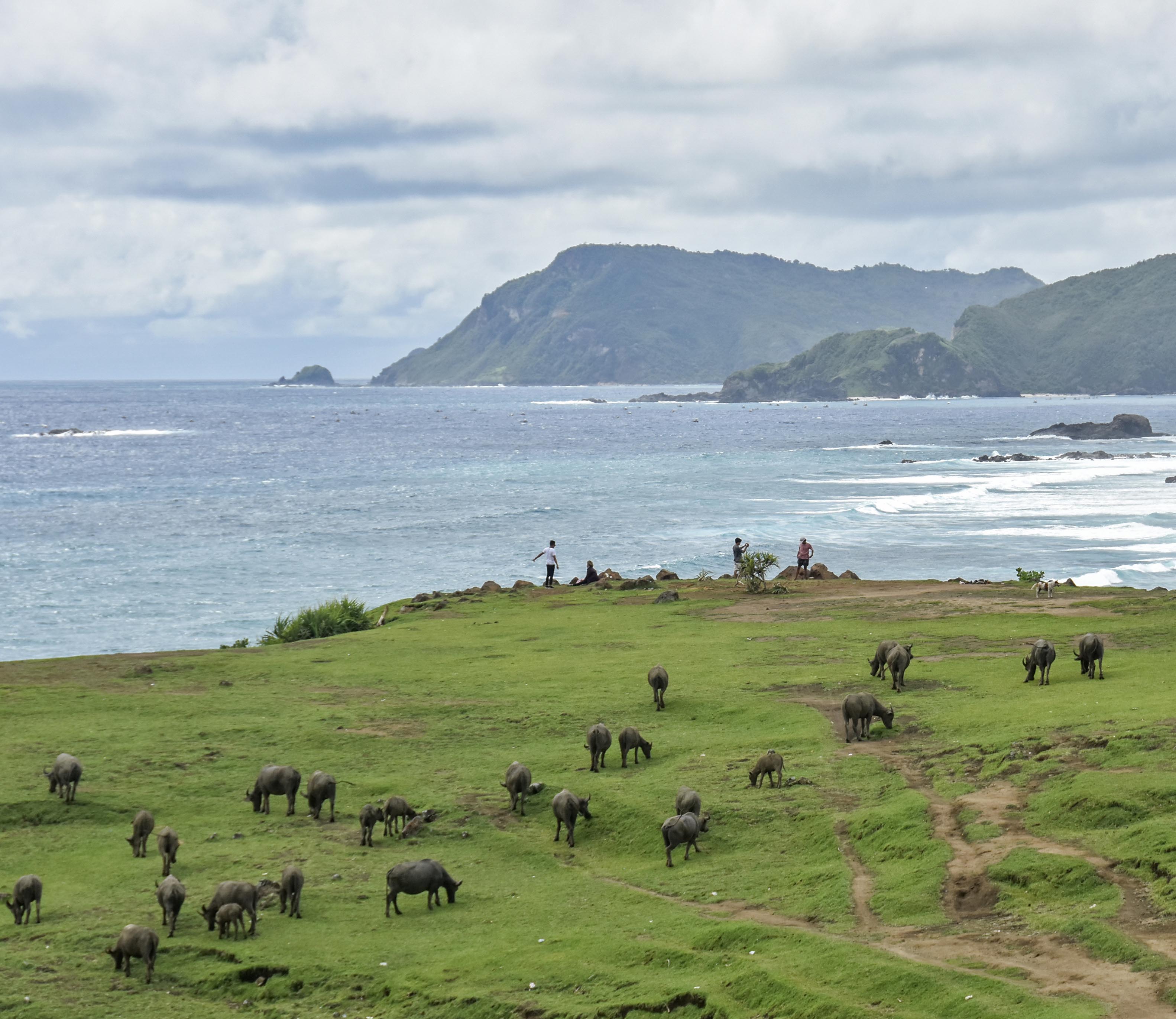 Suasana Bukit Merese di Kawasan Ekonomi Khusus (KEK) Mandalika di Kecamatan Pujut, Praya, Lombok Tengah