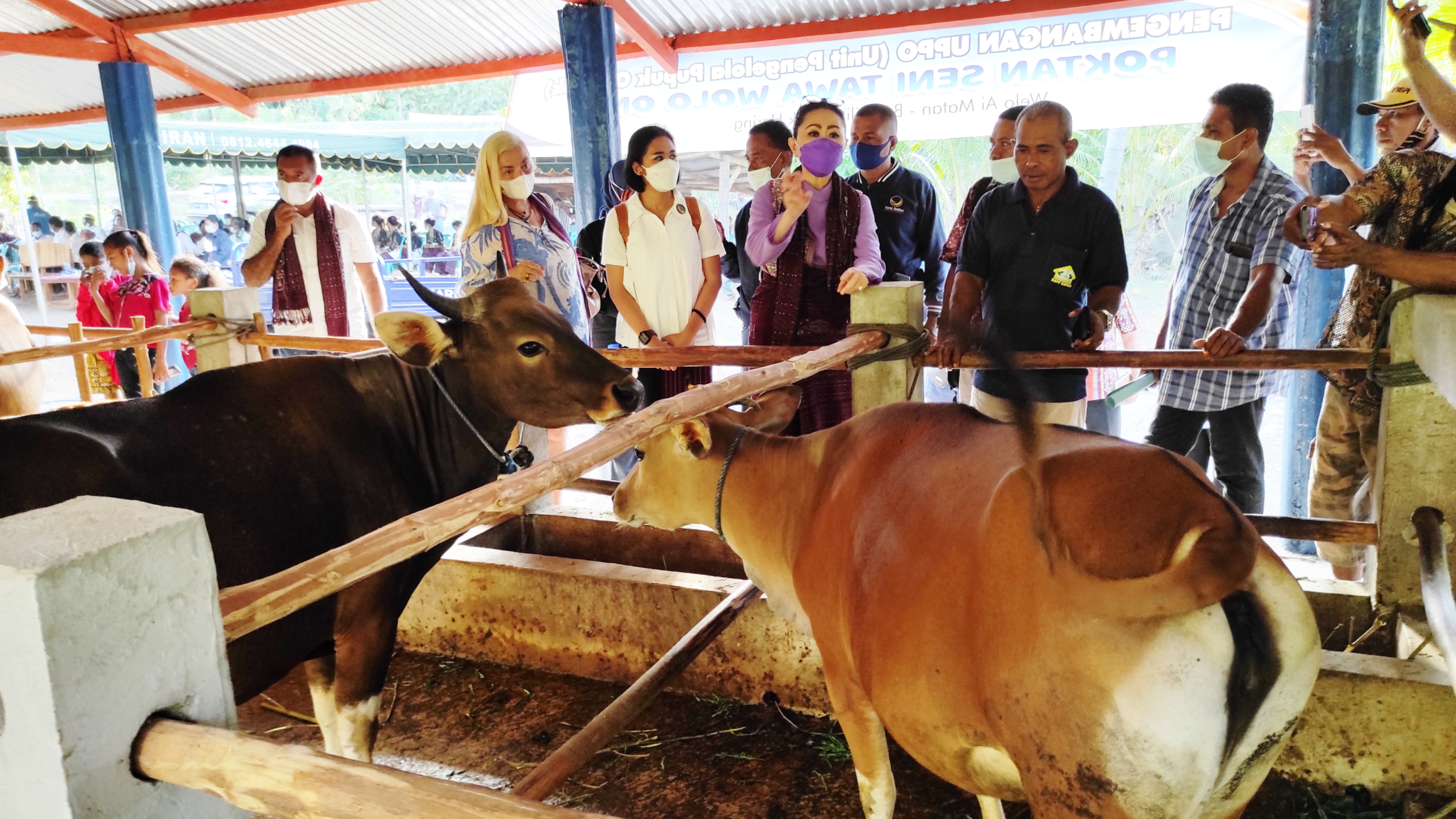 Julie Laiskodat Klaim UPPO Atasi Kelangkaan Pupuk