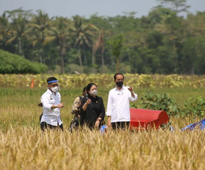 Presiden Jokowi bersama Ketua DPR Puan Maharani dan Mentan Syahrul Yasin Limpon meninjau lokasi panen raya padi di Kabupaten Malang, Jatim. 