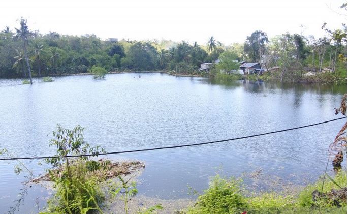 Danau baru muncul di Kelurahan Sikumana, Kota Kupang, Provinsi NTT, usai terjadi bencana alam Badai Siklon Tropis Seroja.