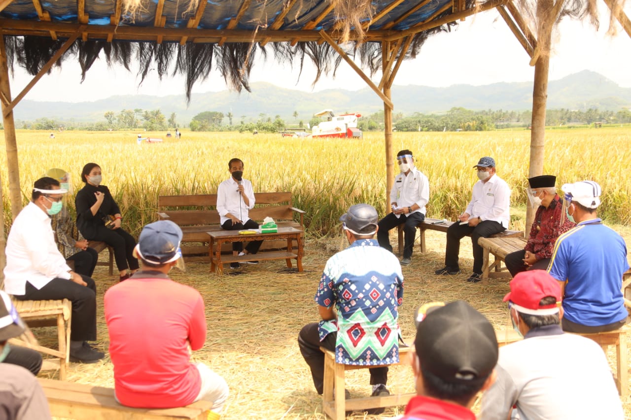 Presiden Jokowi berdialog dengan para petani di Desa Kanigoro, Kecamatan Pagelaran, Kabupaten Malang, Jawa Timur, Kamis (29/4).