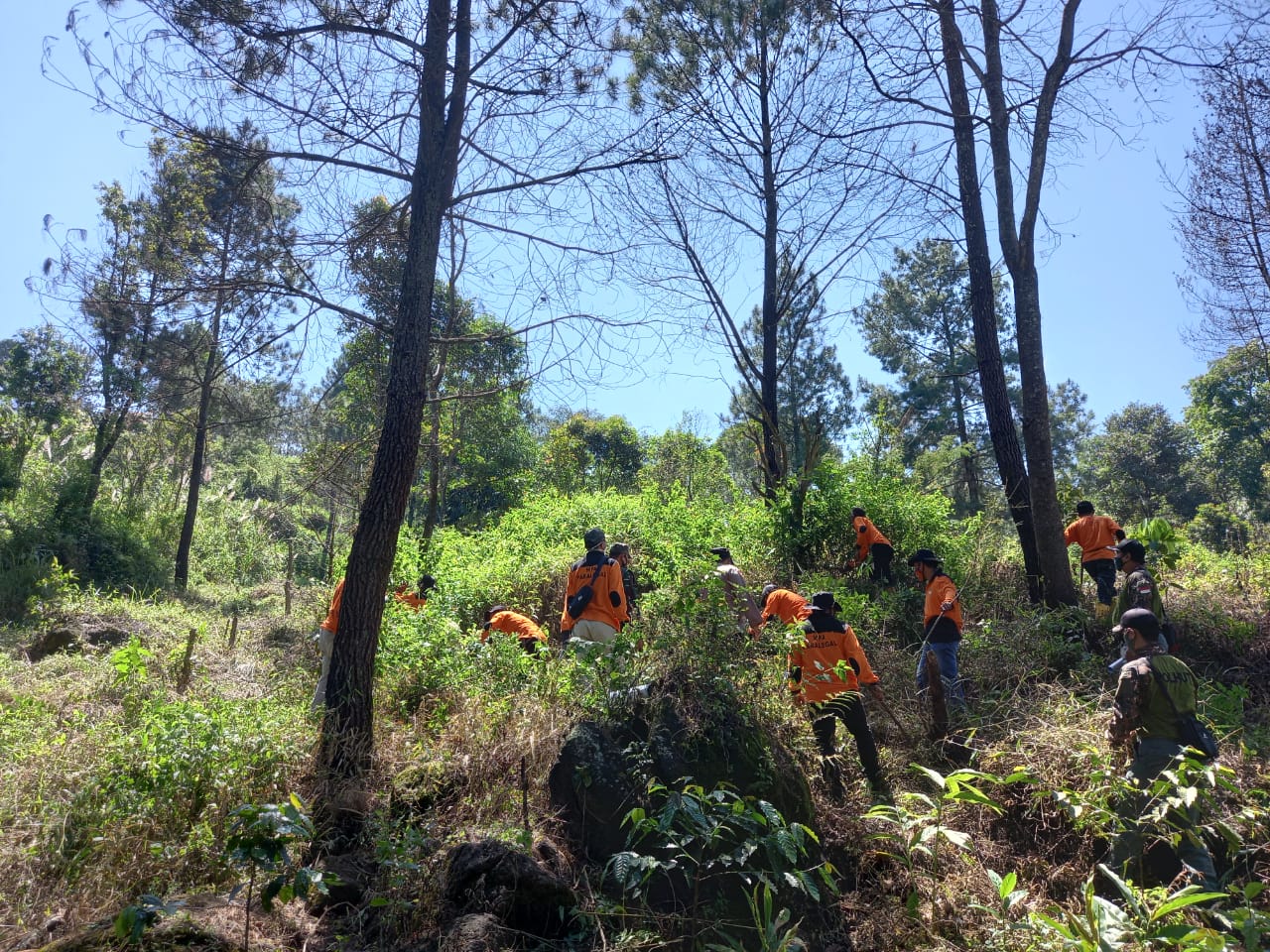 KLHK Gelar Patroli Bersama Tim MPA Paralegal di TN Gunung Ciremai