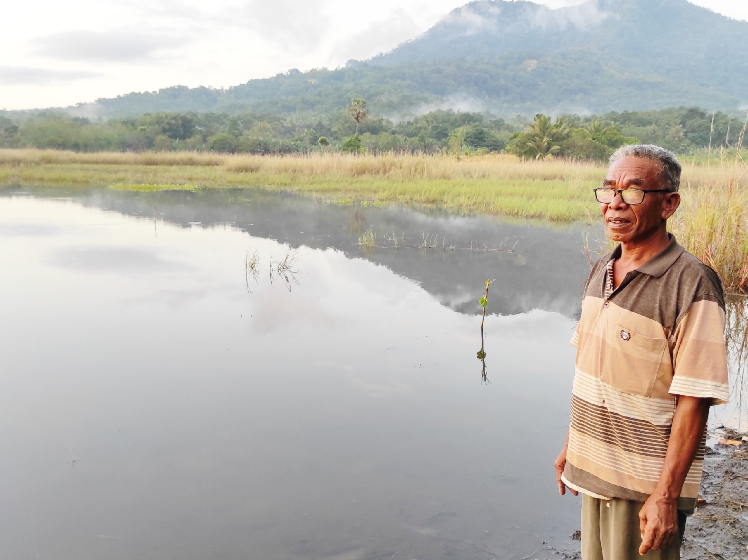 Lahan 69 hektare terendam air di Desa Dulipali, Kabupaten Flores Timur, NTT.