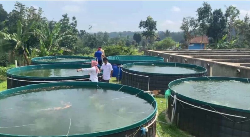 Kolam ikan lele dengan metode bioflok milik Dinas Perikanan dan Kelautan Jawa Barat