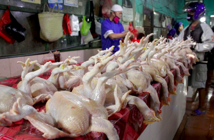 Pedagang ayam potong di Pasar Toddopuli, Makassar melayani pembeli