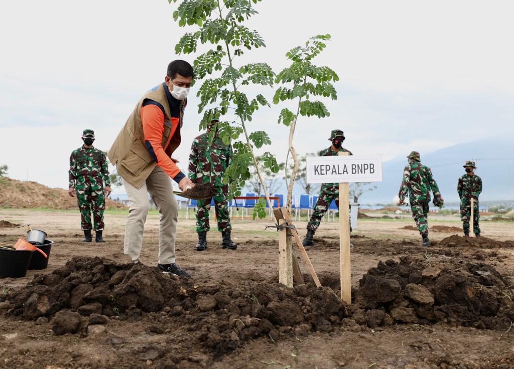 Kepala BNPB menanam trembesi di lokasi pascabencana gempa bumi, tsunami dan likuifaksi