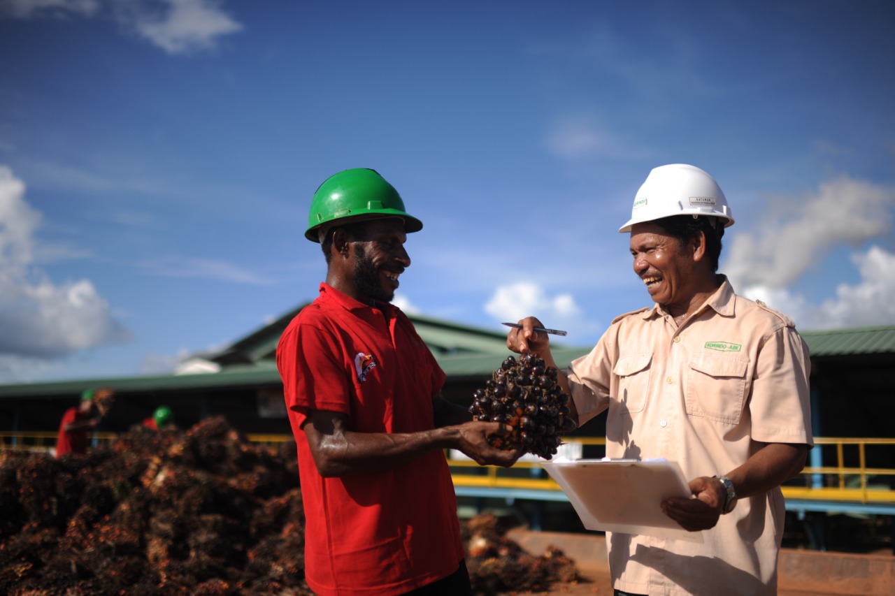Orang Asli Papua (OAP) sebagai pekerja di Pabrik pengolahan  Kelapa Sawit Milik Tunas Sawa Erma Group (TSE Group) di Boven Digoel, Papua.