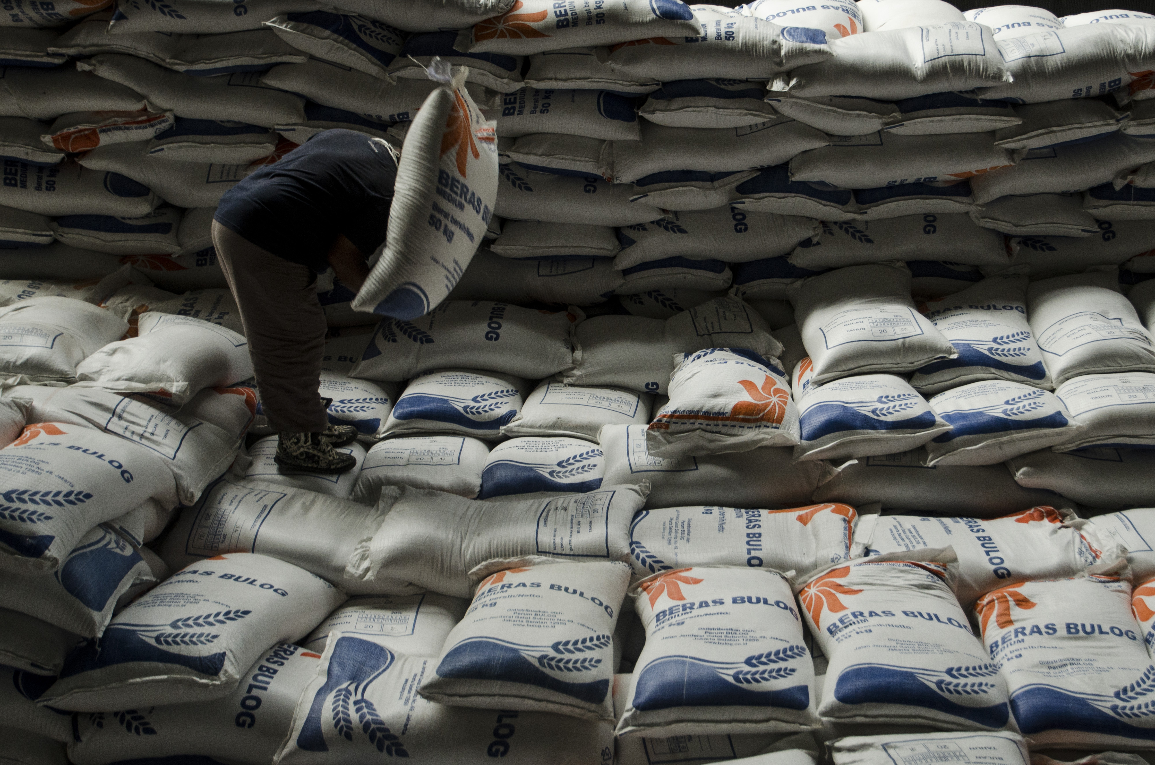  Kelembagaan Pangan Dibutuhkan Pemerintah Pusat hingga Daerah