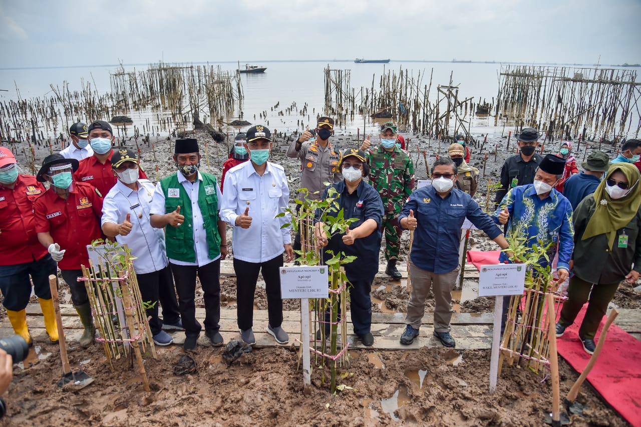 Menteri LHK Siti Nurbaya Bakar melakukan penanaman mangrove di Pantai Purnama, Kota Dumai, Riau, Sabtu (10/4/2021).