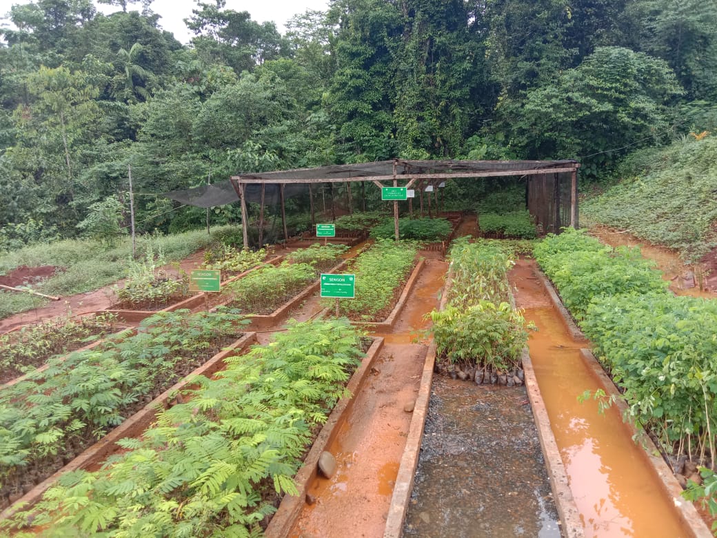 Tanggung jawab lingkungan perusahaan nikel PT CNI mendapatkan penilaian biru pada 2019 dan 2020.
