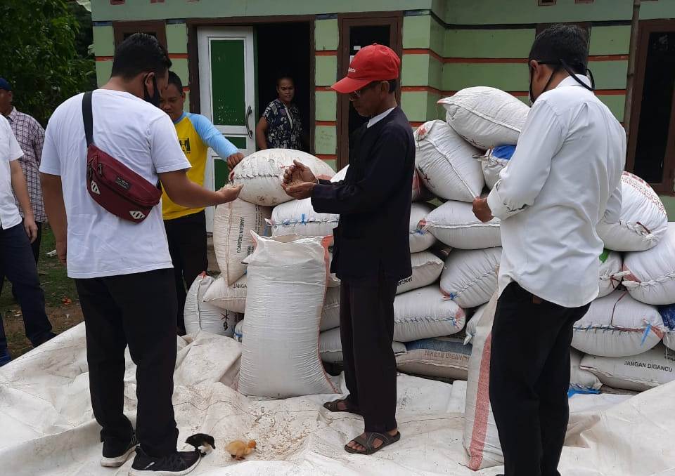 Sepakat, Gabah Hasil Petani Karawang Dijual ke Mitra Tim GSGP